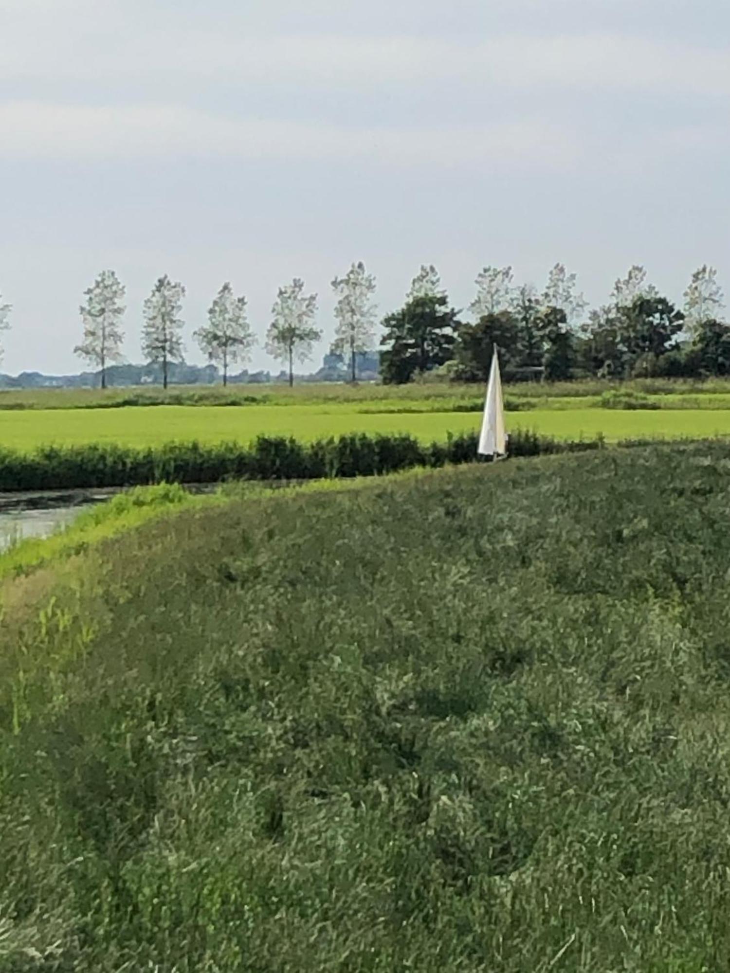 Albertine Agnes Tiny House Franeker Esterno foto